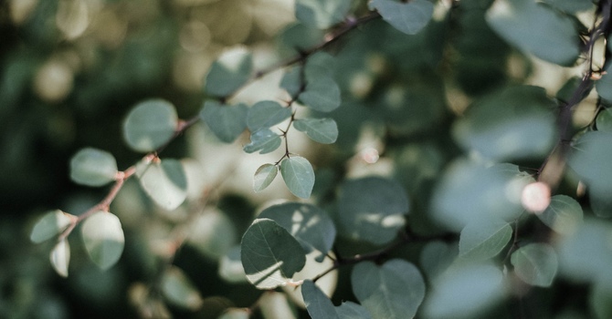 Individual Psychotherapy